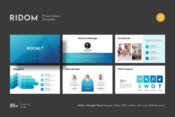 Elevating Professional Communication with the Ridom Google Slides Presentation
